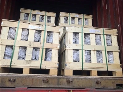Elastic Rail Clip Exported To Argentina